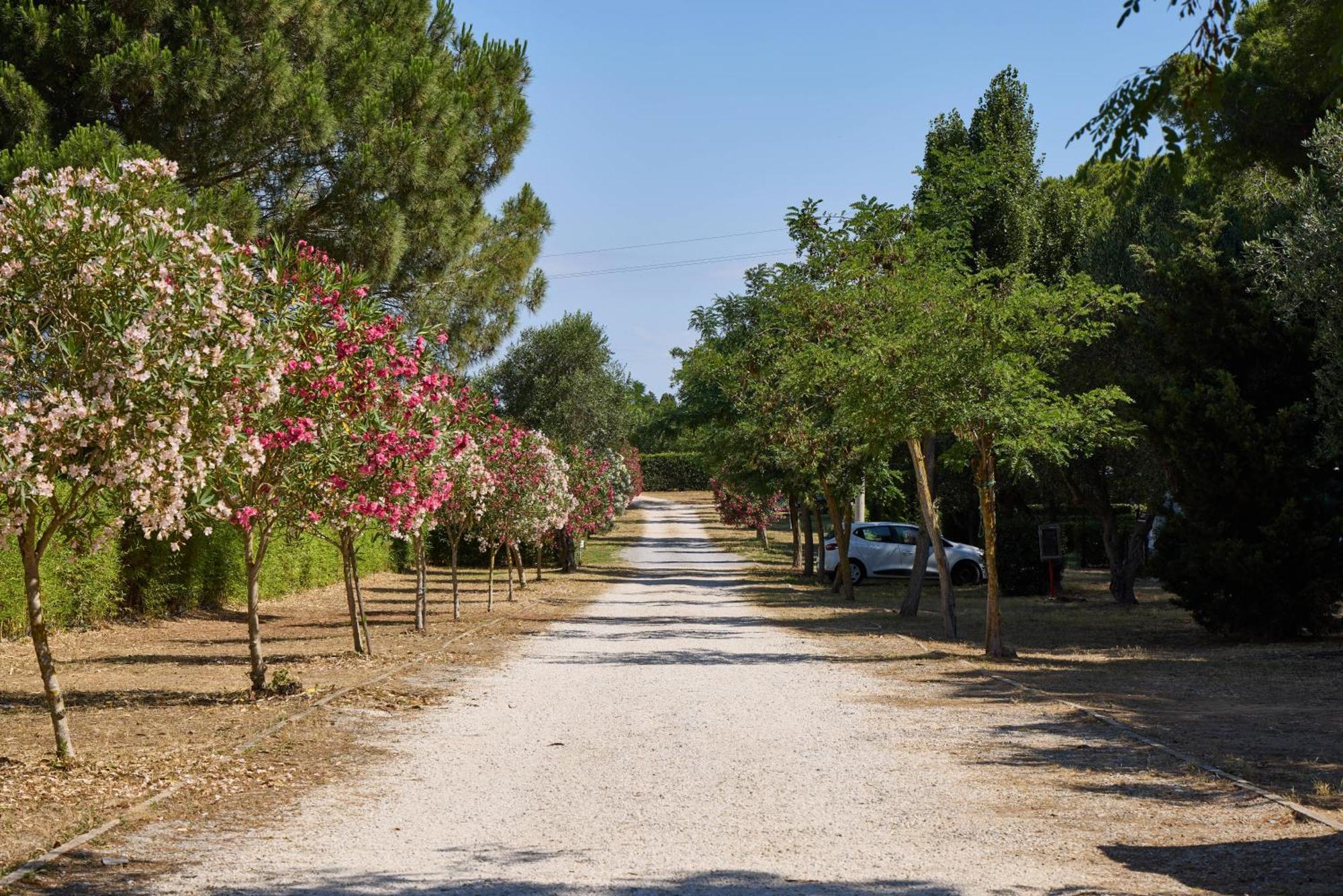 Costa D'Argento - Camping Village Club Capalbio Exterior photo